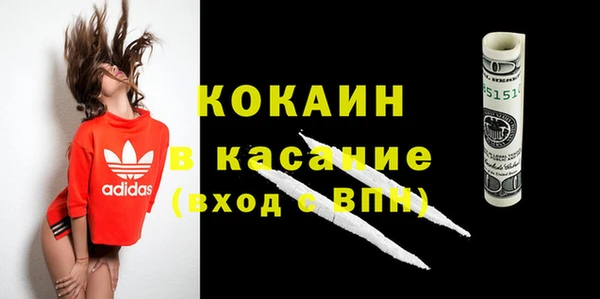 хмурый Алзамай