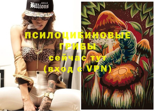 spice Алексин