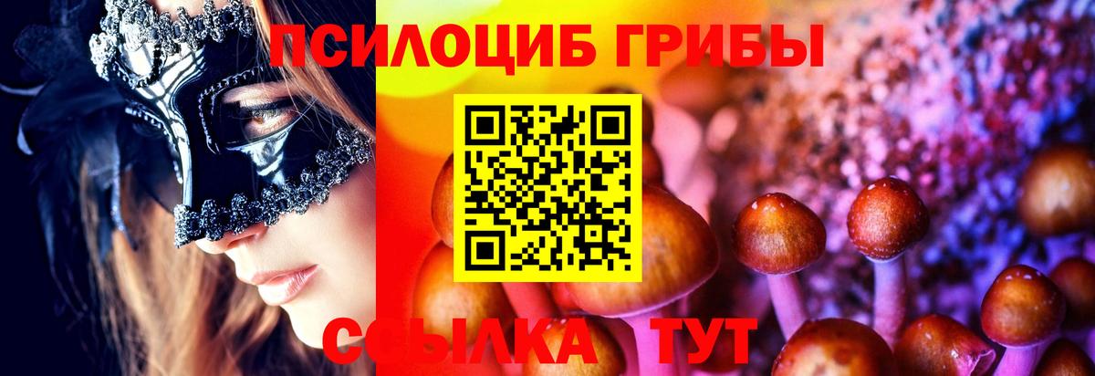 Галлюциногенные грибы GOLDEN TEACHER  Вход с VPN  Саки 